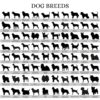 il 1000xN.5118316580 1dcd - English Bulldog Merch