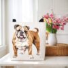 il 1000xN.5753128616 htff - English Bulldog Merch