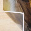 urshower curtain detailsquare1000x1000 5 - English Bulldog Merch