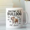 il 1000xN.6228402941 r702 e1743065902275 - English Bulldog Merch