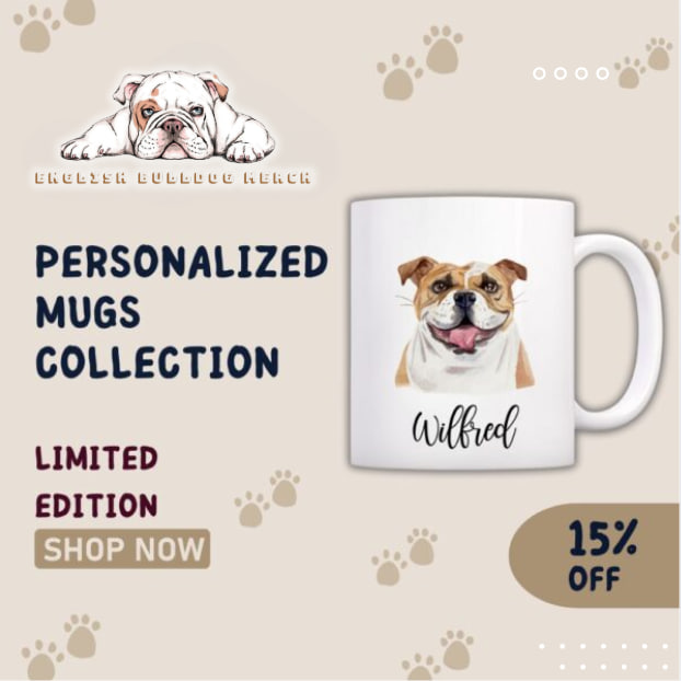 photo 2025 03 14 12 04 31 - English Bulldog Merch
